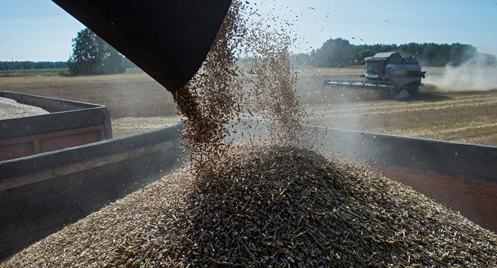 Russia’s Ministry of Agriculture says that the country is...