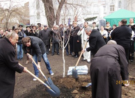 Дерево Дружбы/FriendshipTtree