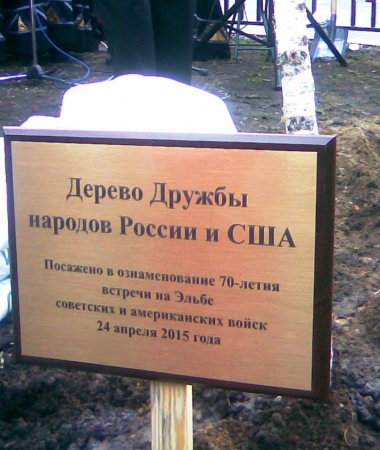 Дерево Дружбы/FriendshipTtree